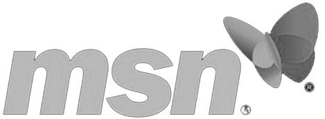 MSN Logo